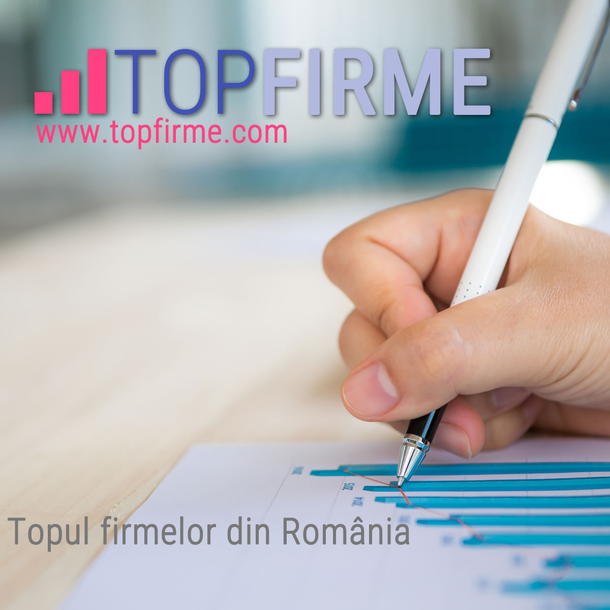 www.topfirme.com